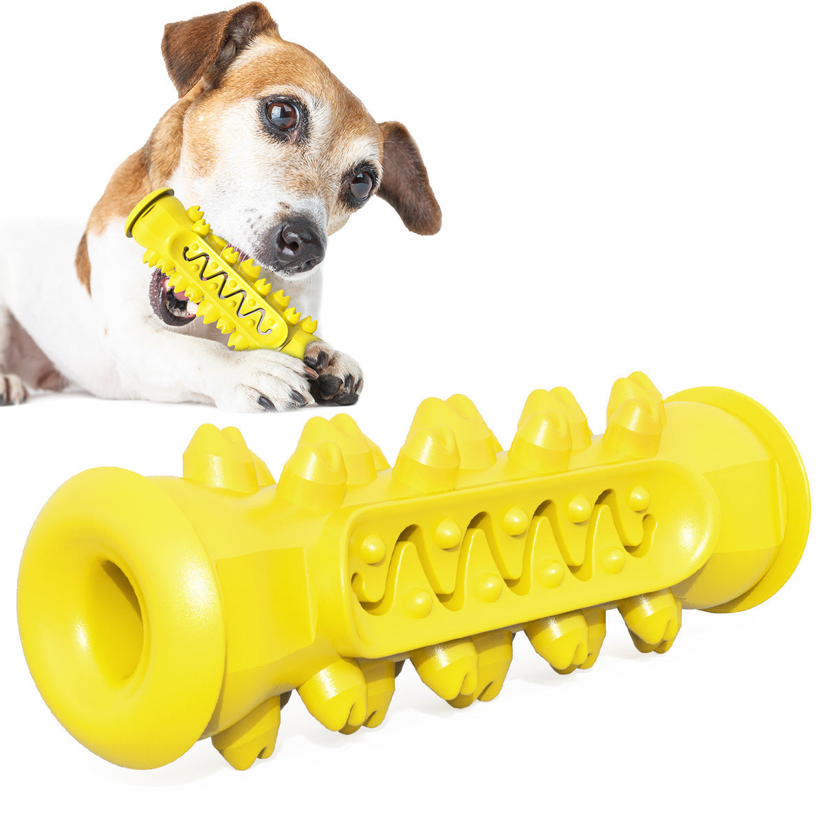 Dental Brush Chew Toy