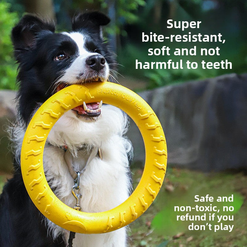 Training & Play Chew Toy Set