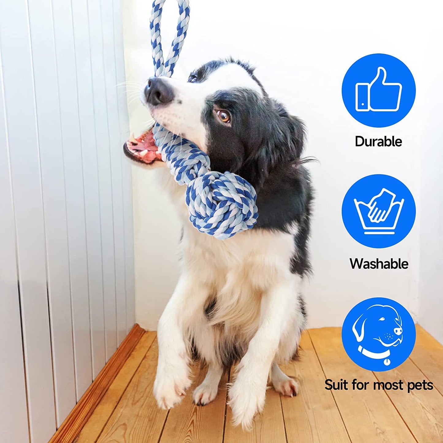 Interactive Door Tug Rope Toy