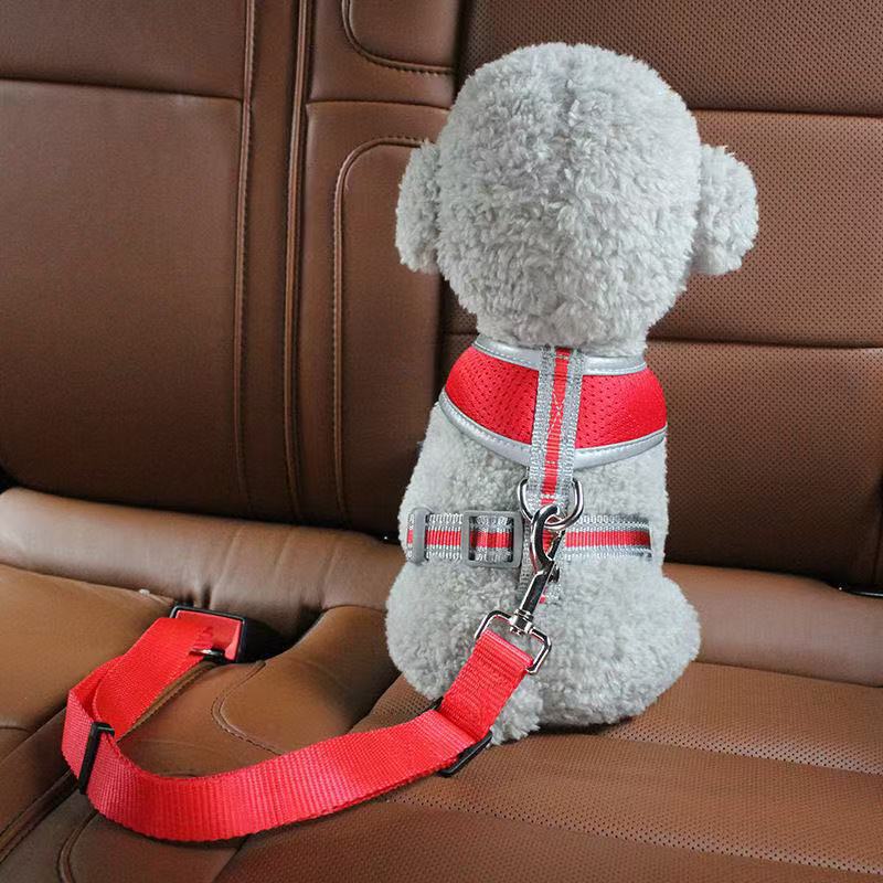 Retractable Dog Car Tether