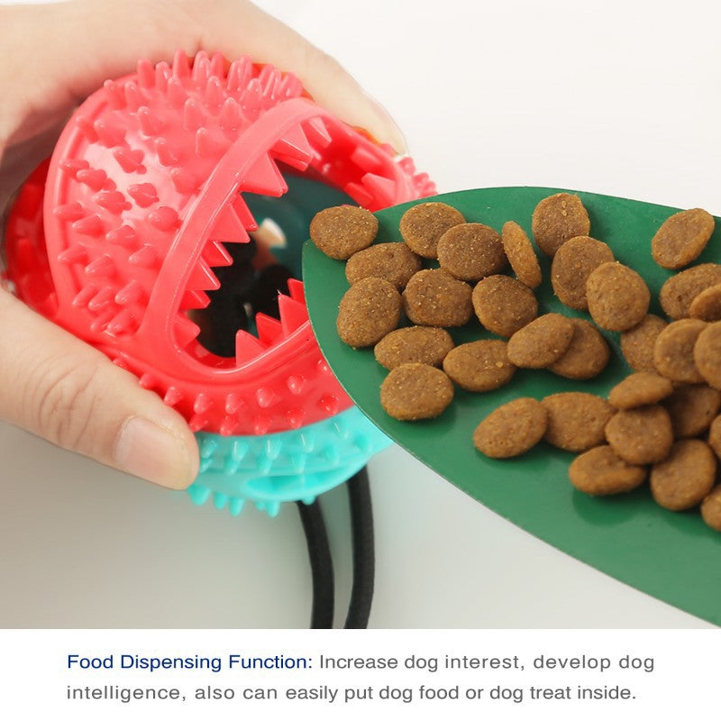 Suction-Cup Tug & Treat Ball