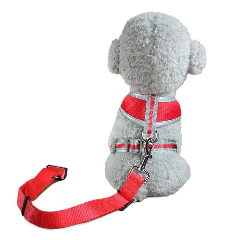 Retractable Dog Car Tether