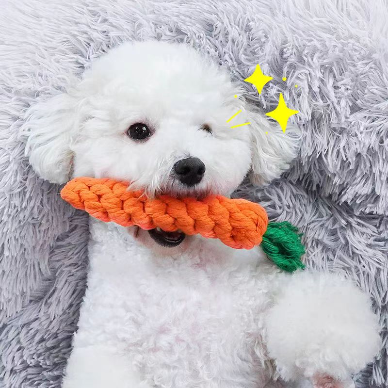 Carrot Cotton Rope Chew Toy