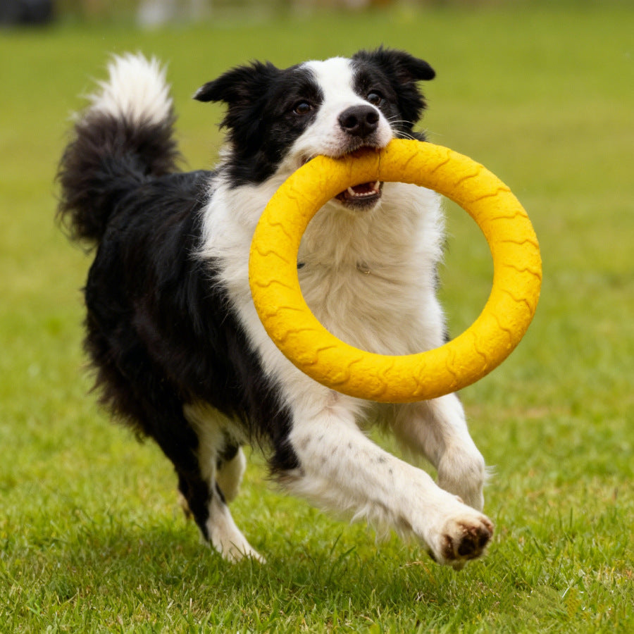 Training & Play Chew Toy Set