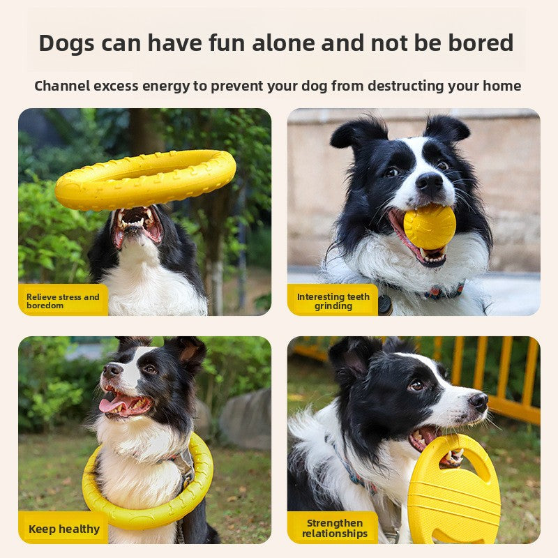 Training & Play Chew Toy Set