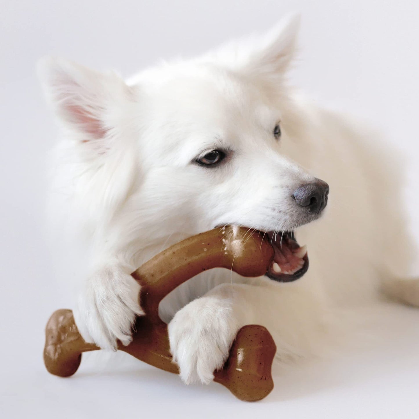 Flavor-Infused Nylon Chew Toy
