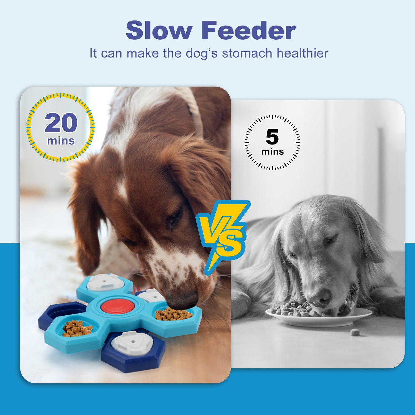 Rotating Dog Puzzle Feeder