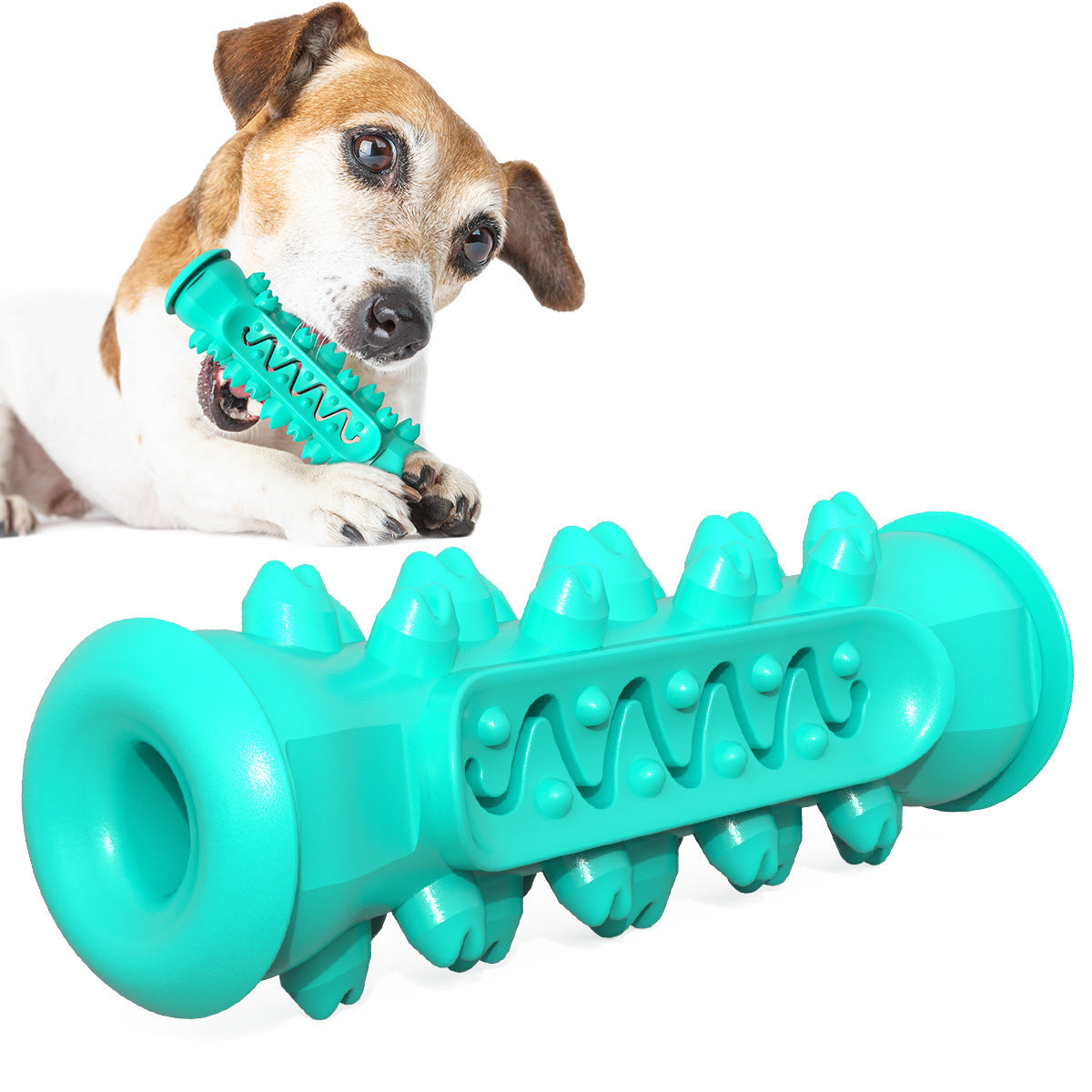 Dental Brush Chew Toy