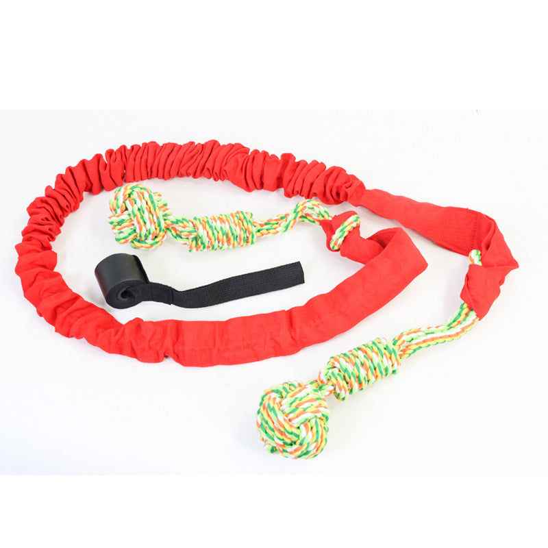 Interactive Door Tug Rope Toy
