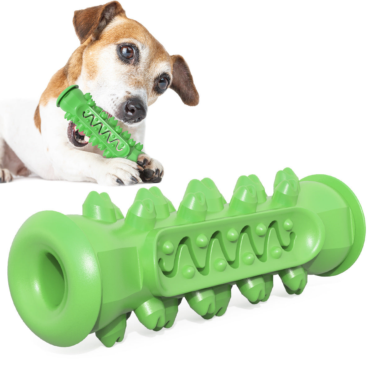Dental Brush Chew Toy