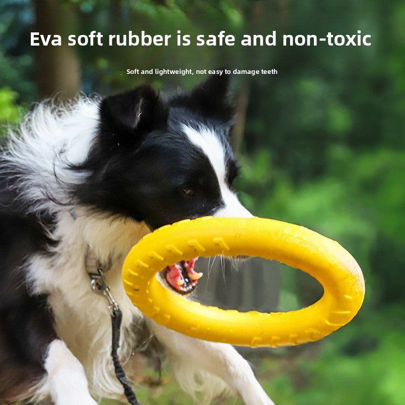 Training & Play Chew Toy Set