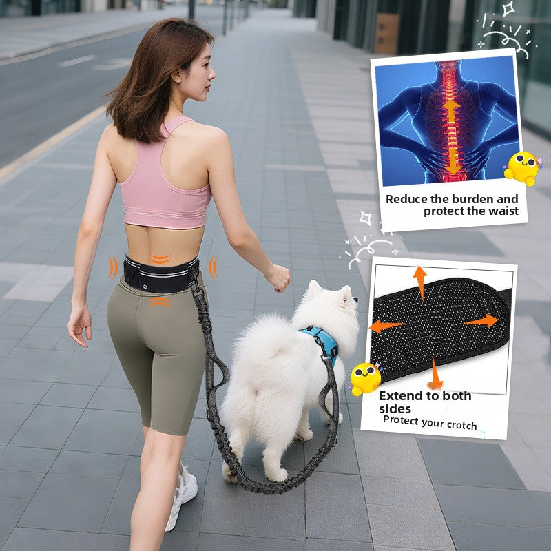 Hands-Free Leash with Waist Bag