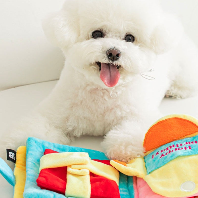 Dog Treat Puzzle Book