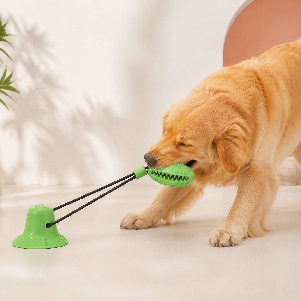 Suction-Cup Treat & Tug Toy - Image 6